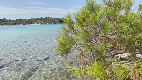 Clean-blue-flag-beaches-of-Halkidiki-Peninsula,-Greece