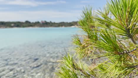 Clean-blue-flag-beaches-of-Halkidiki-Peninsula,-Greece