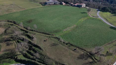 Vista-Aérea-De-Campos-Verdes-Y-Vacas-Pastando-En-La-Región-De-Tavertet,-Barcelona.