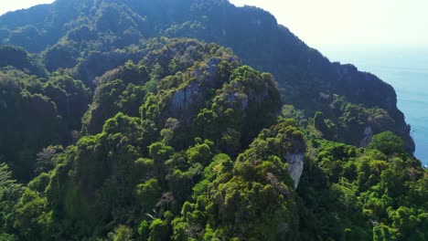 Sonnenlicht-Scheint-Auf-Einen-Dichten,-Lebendigen-Grünen-Wald,-Der-Einen-Berghang-In-Südostasien-Bedeckt