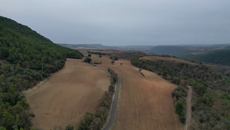 San-ponce-reservoir-in-barcelona-surrounded-by-rolling-hills-and-dense-forests,-aerial-view