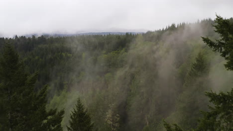 Eine-Drohne-Schwebt-Zwischen-Immergrünen-Bäumen-Hindurch-Und-Enthüllt-Den-Aufsteigenden-Und-Den-Hang-Hinaufziehenden-Nebel-Im-Pazifischen-Nordwesten