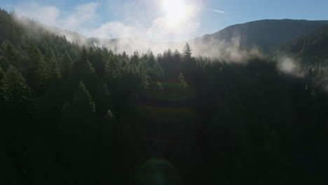 Panoramic-aerial-establishing-overview-to-sun-above-classic-PNW-forest-scene-with-fog-rising-in-distance