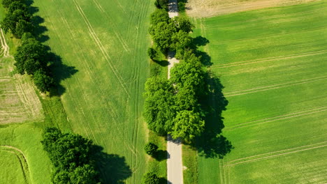 Aerial-view-of-a-lush,-green-rural-landscape-featuring-a-straight-country-road-bordered-by-trees