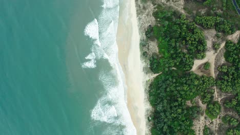 Sudáfrica-Parece-Una-Gran-Playa-Con-Muchos-Arbustos-Al-Fondo.