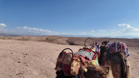 Camel-ride-riding-POV-in-the-Agafay-desert-outside-Marrakesh,-Morocco