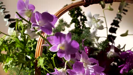 Bunte-Orchideen-Blumenarrangement-Im-Korb,-Nahaufnahme