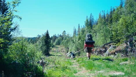 Hiker-With-Backpack-And-Dog-Over-Sunny-Tracks-In-The-Mountain-Hike