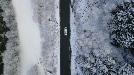 Van-Fahrt-Auf-Verschneiten-Wald