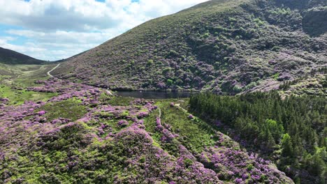 Ireland-Epic-locations-drone-landscape-the-Vee-Pass-from-Waterford-to-Tipperary-passes-Bay-Lough-stunning-beautiful