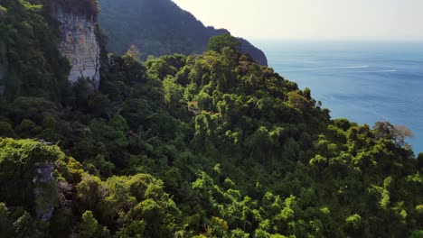 Luz-Del-Sol-Brillando-Sobre-Un-Denso-Y-Vibrante-Bosque-Verde-Que-Cubre-La-Ladera-De-Una-Montaña-En-El-Sudeste-Asiático