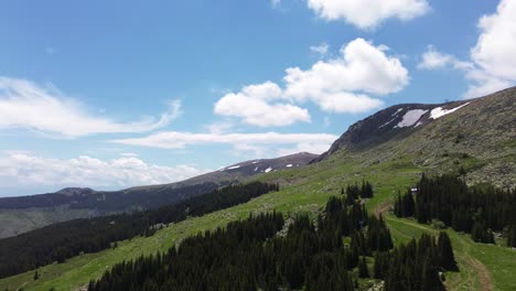 trning-shot,-revealing-a-beautiful-mountain-hills-with-green-grass-and-pine-forests