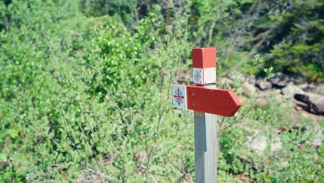 Wooden-Sign-Hiking-Trails-In-The-Forest-Of-Norway