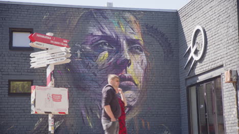 Abstract-mural-on-dark-building-wall-of-a-woman's-face-in-Telliskivi-area