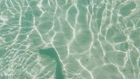 Clean-blue-flag-beaches-of-Halkidiki-Peninsula,-Greece