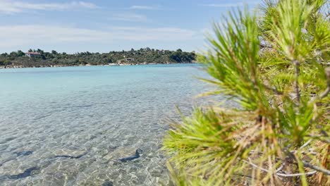 Clean-blue-flag-beaches-of-Halkidiki-Peninsula,-Greece