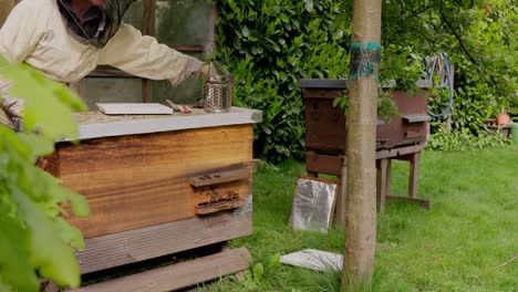 Beekeeping,-apiculture,-caring-and-maintaining-bee-colonies.-Slow-mo