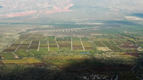 Panorama-Luftaufnahme-Eines-Wunderschönen-Weinbergs-In-Der-Provinz-Salta,-Argentinien,-Berühmt-Für-Seine-Hochgelegenen-Torrontés--Und-Malbec-Weine