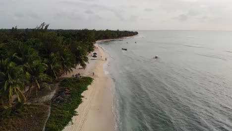 Exotic-white-sandy-beach-lined-with-palm-trees