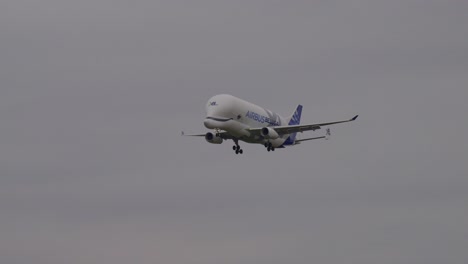 Airbus-A330-743L-Beluga-XL-En-Aproximación-Final-A-Hamburgo-Finkenwerder