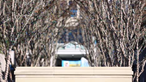 Cook-Children's-hospital-exterior-sign-in-front-of-building-Fort-Worth-Texas