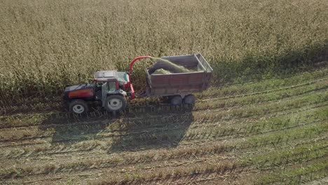 Red-tractor-filling-up-trailer-with-corn-harvester,-driving-on-the-field