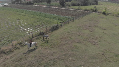 A-girl-rides-a-horse-in-a-meadow