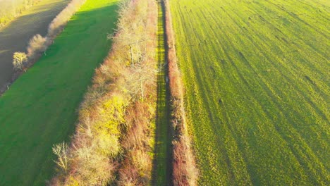 Flug-Entlang-Eines-Wanderweges-In-Den-Feldern-An-Einem-Sonnigen-Tag