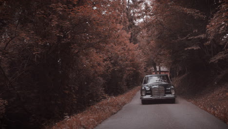 Klassischer-Mercedes-300-SE-Fährt-Auf-Einer-Landstraße-Inmitten-Von-Bäumen,-Vorderansicht