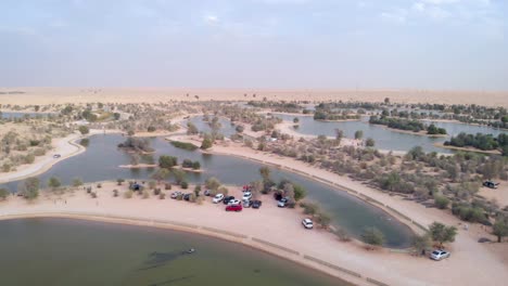 Vista-Aérea-Desde-Un-Dron-De-Amigos-Haciendo-Un-Picnic-Cerca-De-Los-Lagos-Al-Qudra-En-El-Desierto-De-Dubai,-Emiratos-árabes-Unidos