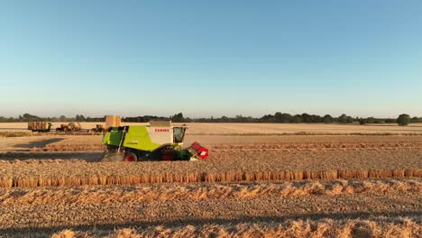 Claas-combine-harvester-harvesting-cereal-crop-in-afternoon