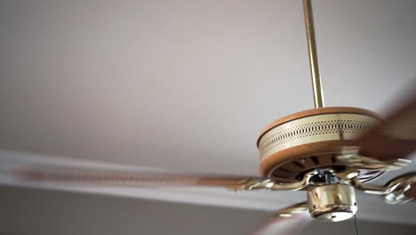 Decorative-wood-and-gold-ceiling-fan-rotating,-medium-shot