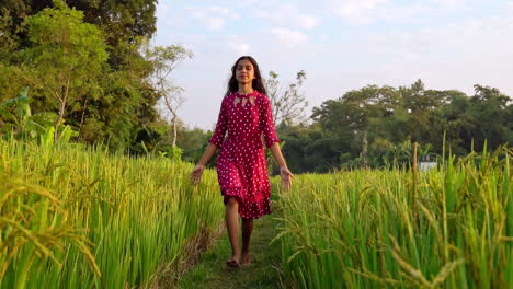 Joven-India-Despreocupada-Con-Los-Brazos-Extendidos-Corriendo-En-La-Granja-De-Arroz-Durante-La-Puesta-De-Sol