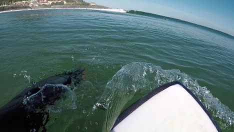 POV-Paddling-a-short-board-in-the-water-at-world-famous-surf-break