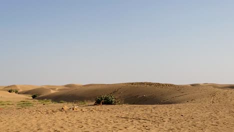 Wunderschöne-Aussicht-Auf-Die-Sam-Sanddünen-In-Der-Wüste-Thar-Von-Einem-Schnell-Fahrenden-Fahrzeug-Aus,-Das-Menschen-Zeigt,-Die-Eine-Kamelsafari-Genießen