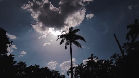 Zeitraffer-Der-Strömenden-Wolken,-Silhouette-Von-Im-Hintergrund-Beleuchteten-Palmen-Und-Dschungel,-Die-Im-Wind-Wehen,-Ultra-Weitwinkel