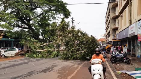 Los-Conductores-De-Scooters-Se-Aprietan-Alrededor-De-Un-Enorme-árbol-Caído-En-La-India-Después-Del-Ciclón-Tauktae