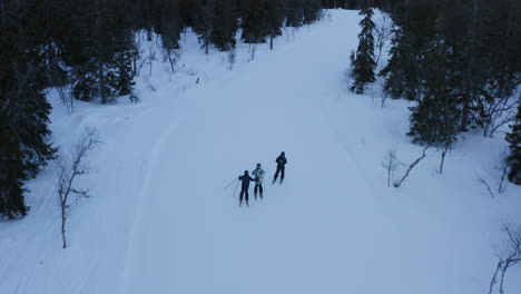 skiers-on-the-piste-among-white-snow-pine-trees-Norway-Trysil