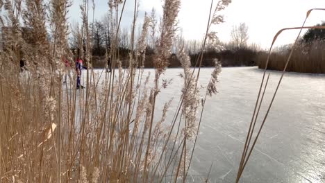 Die-Menschen-Genießen-Schlittschuhlaufen-Und-Rodeln-Auf-Einem-Zugefrorenen-Teich-In-Einem-Stadtpark-Während-Der-Eisigen-Kälte-Im-Februar