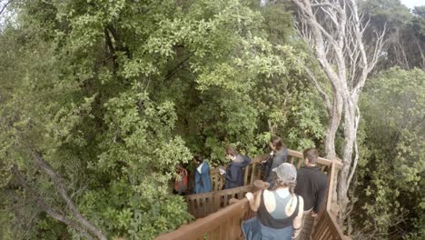 Descendiendo-Desde-El-Mirador-De-La-Isla-Motuora-En-Los-Estrechos-De-La-Reina-Carlota-De-La-Isla-Sur-De-Nueva-Zelanda