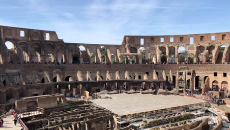 Seagull-sitting-in-the-Colosseum,-Rome-Italy,-slow-moving-shot