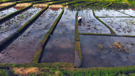 V2-A-farmer-cleaning-out-a-not-yet-planted-rice-paddy