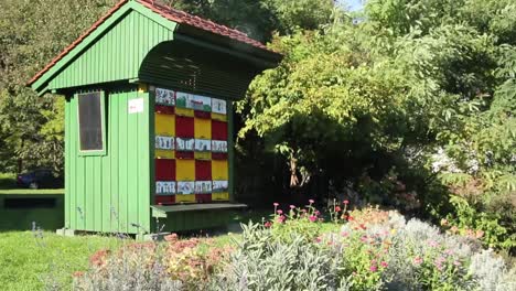 Apiario-Con-Abejas-En-El-Jardín-Frente-Al-Bosque