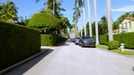 Aerial-view-low-over-a-street-with-parked-cars-and-trees,-on-a-sunny-morning,-in-Palm-Beach,-Miami,-Florida,-USA---dolly,-drone-shot