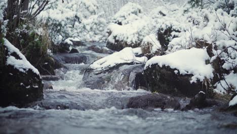 Arroyo-En-Bosque-Nevado.-Camara-Lenta