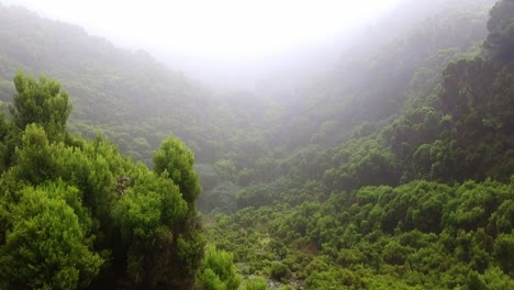 Cloudy-and-stormy-day-in-the-island-of-Terceira,-Azores,-Portugal