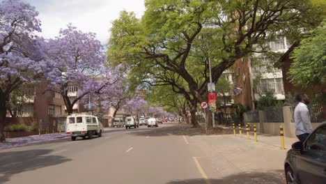 Fahrt-Durch-Die-Von-Bäumen-Gesäumten-Straßen-Der-Stadt-Pretoria-Im-Morgenverkehr