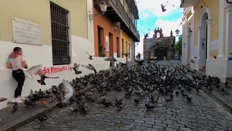 Y-Una-Señora-Alimenta-A-Una-Gran-Multitud-De-Palomas-En-Una-Calle-De-Puerto-Rico