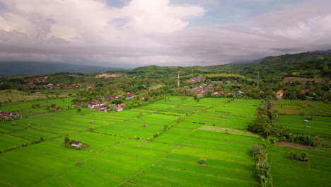 Rice-Fields-In-Traditional-Asian-Village-In-North-Bali,-Indonesia