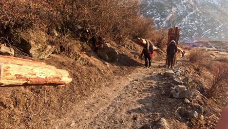 Local-Transportation-in-a-remote-mountain-area